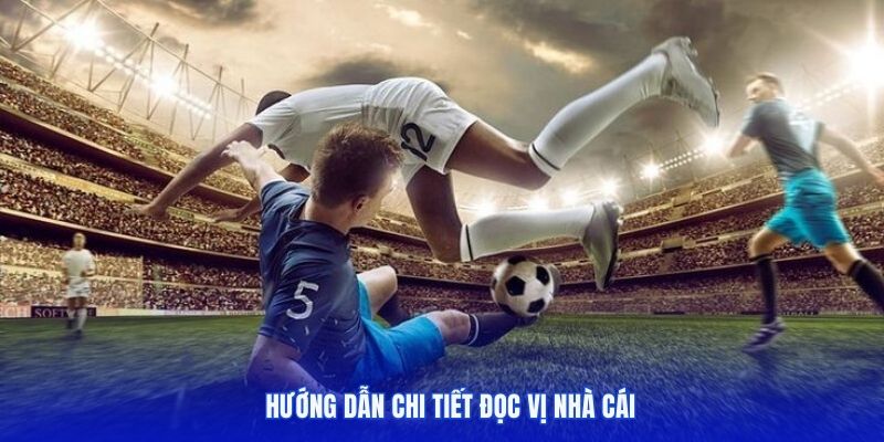 Hướng dẫn chi tiết đọc vị nhà cái
